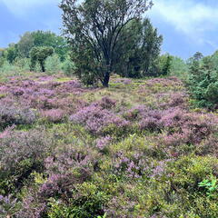 23-09-13 12-01-00 6812